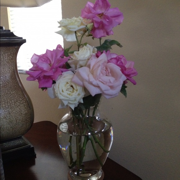 Meet your Posher, Michelle - Picture 12 of 15